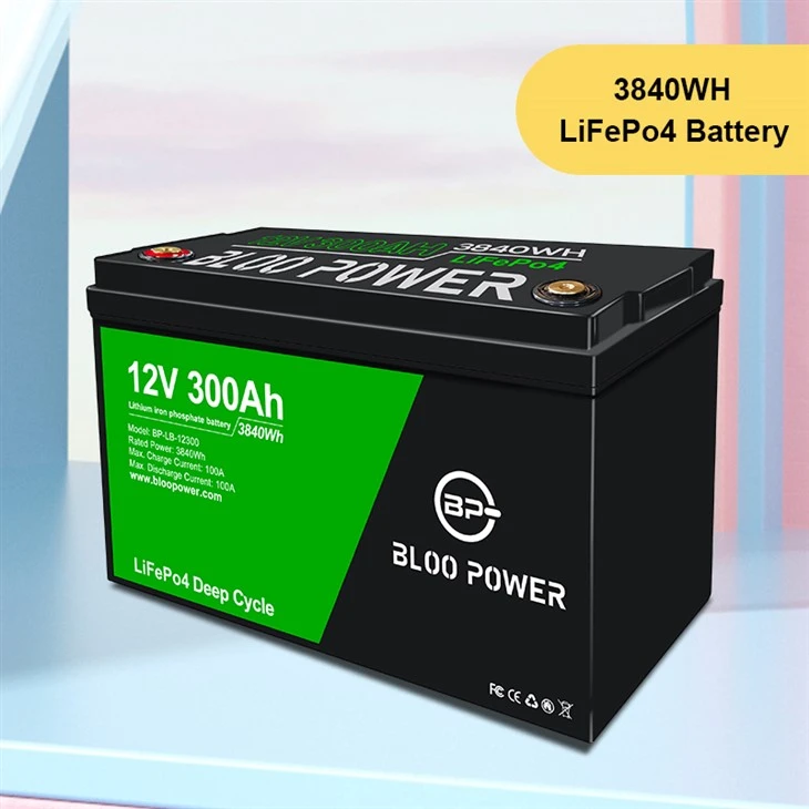 Rechargeable Backup Battery