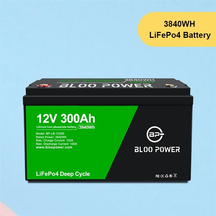 Rechargeable Backup Battery