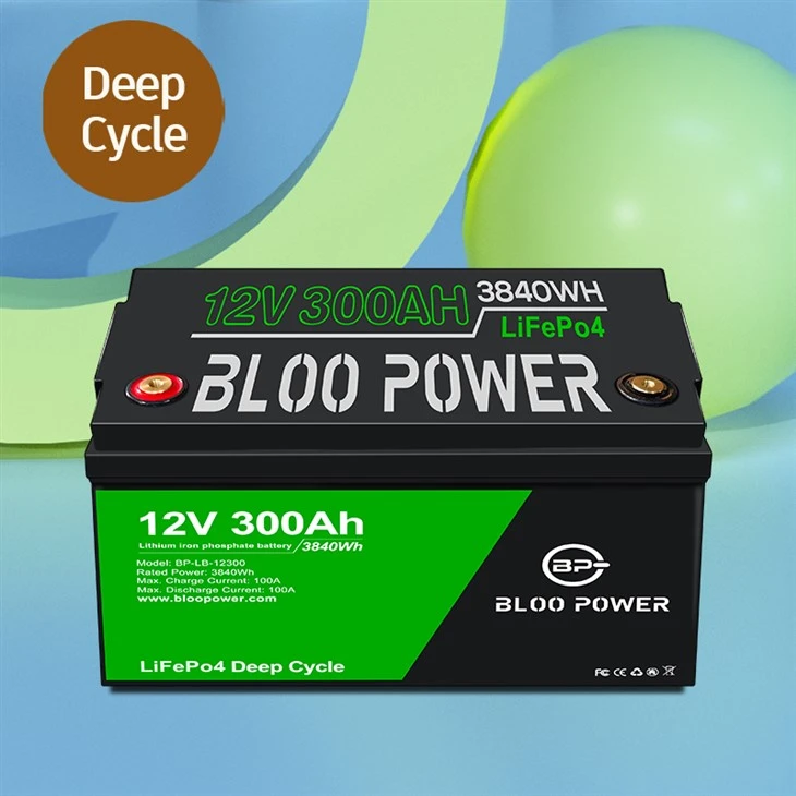 Rechargeable Backup Battery