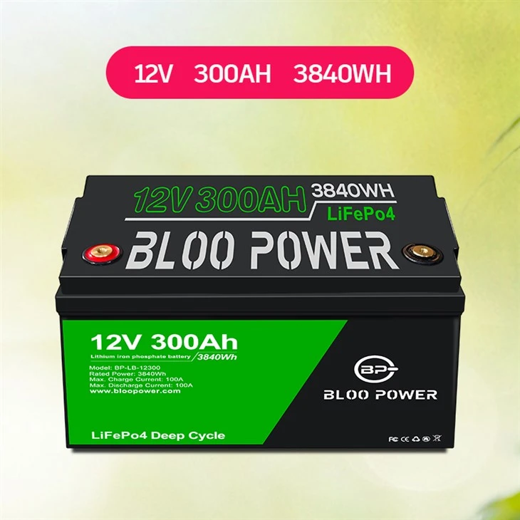 Rechargeable Backup Battery